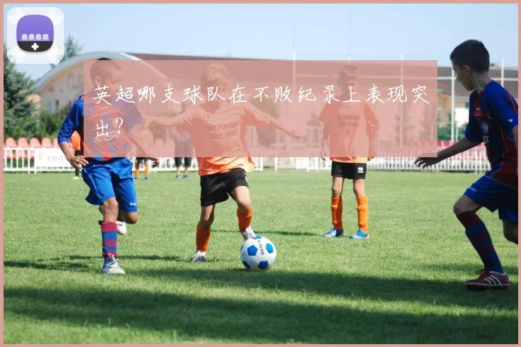 英超哪支球队在不败纪录上表现突出？