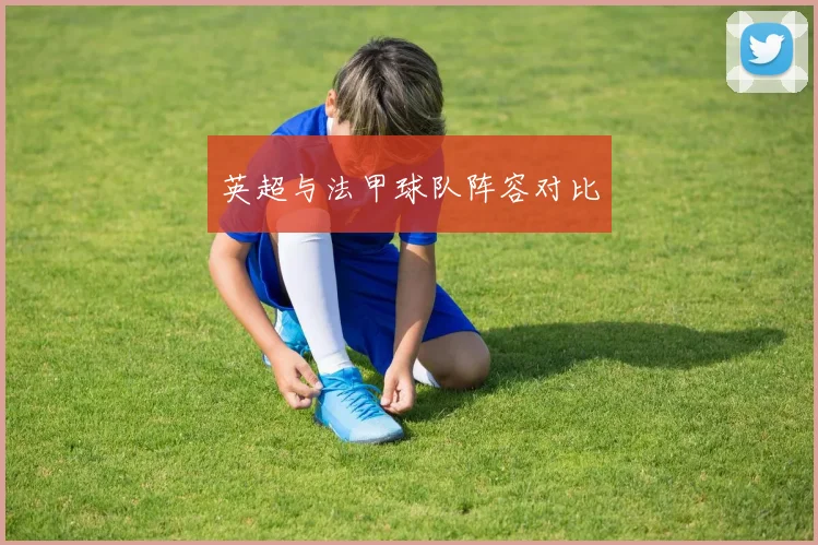 英超与法甲球队阵容对比